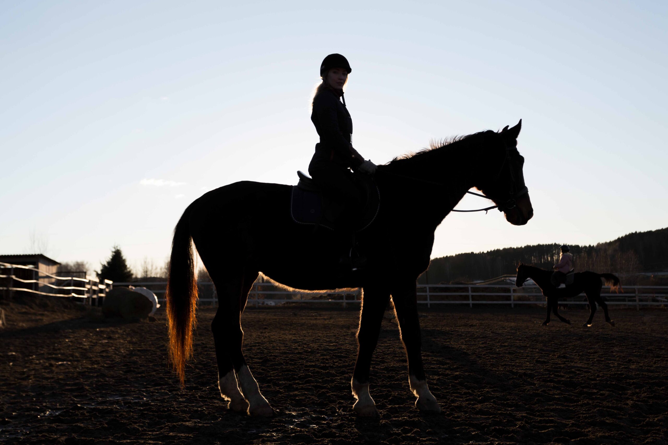 Horses and Healing
