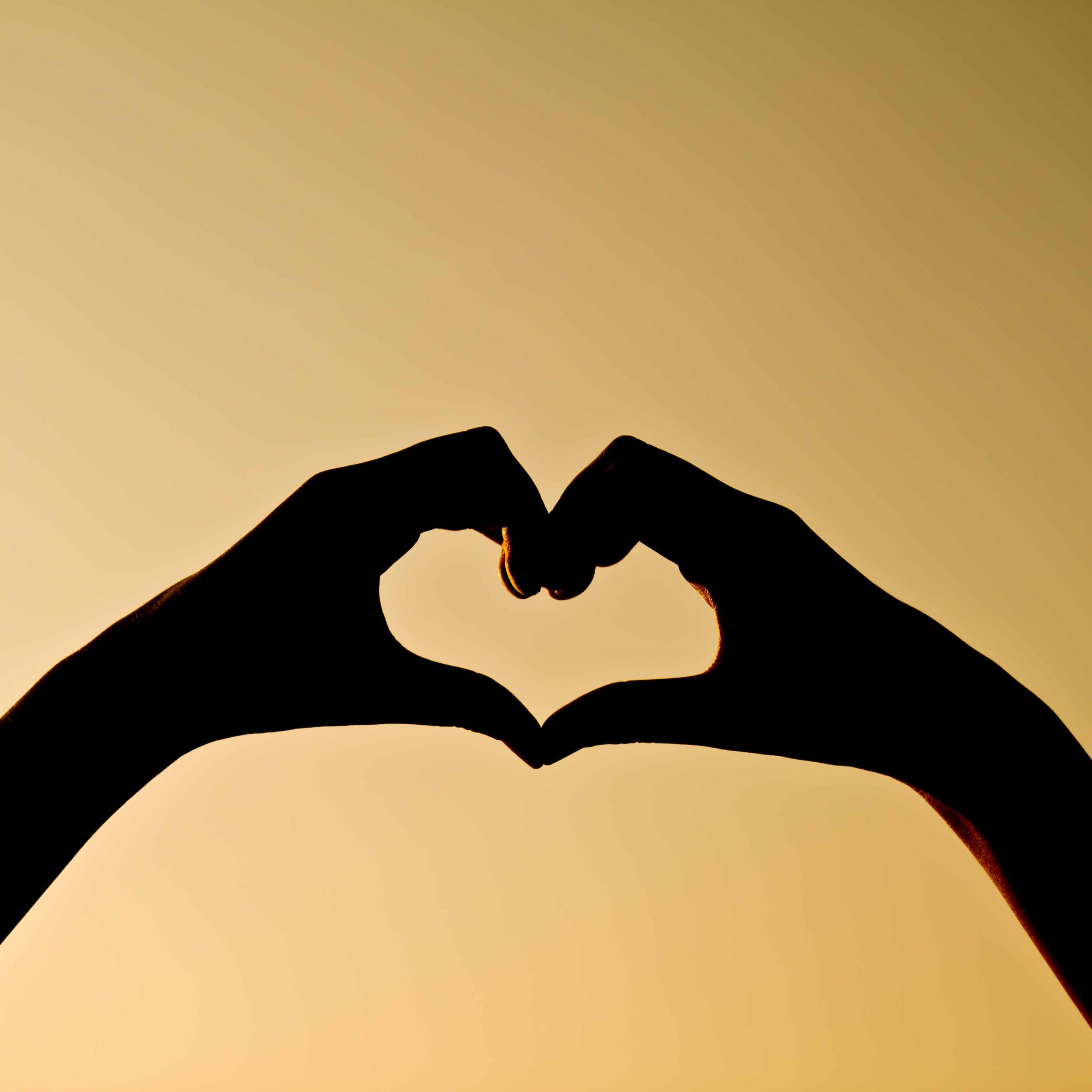 What I’ve Learned About Love at Work